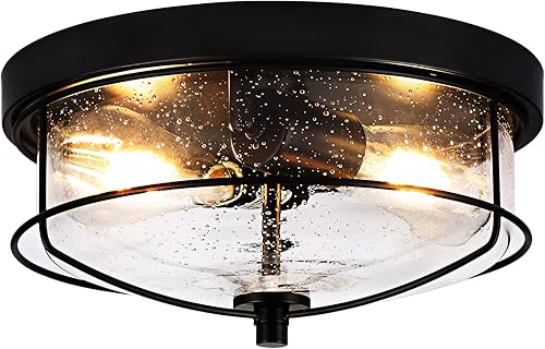 Lámpara de techo negra de montaje empotrado con pantalla de vidrio semillado, lámparas de techo al aire libre de granja, 2 luces de techo de jaula