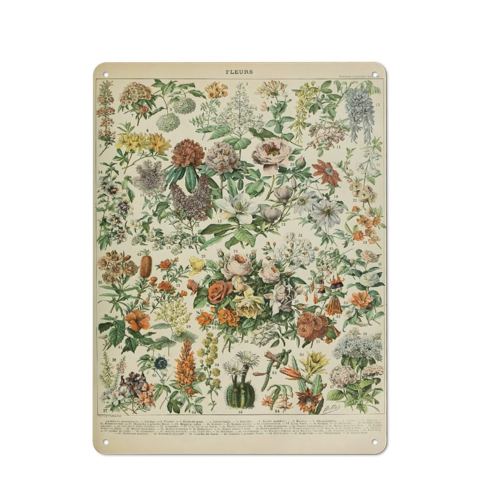 Cosy French FLEURS 1909 Metal Plaque 40x30cm, Kitchen Wall Decor for Kitchen, Cafe, Pantry Or Dining Room