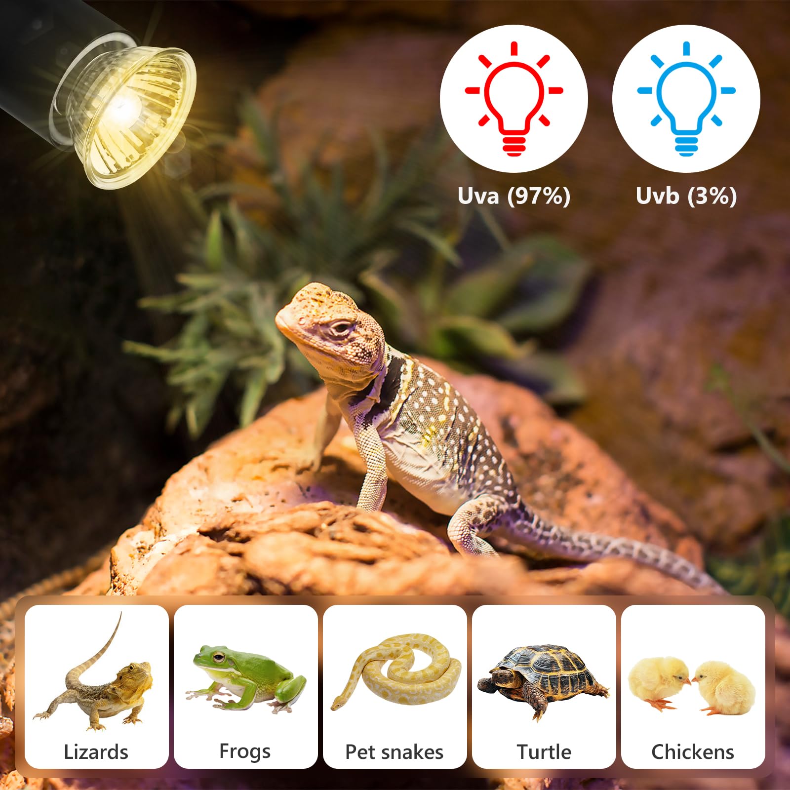 Schildkröten Wärmelampe, Reptilien Terrarium Lampe, UVB-Wärmeheizung, Reptilien Heizlampe mit einstellbarem Clip, für Schildkröte Eidechse Schlange Spinne Amphibien