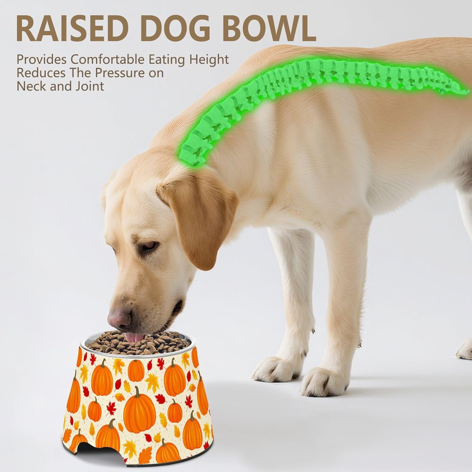 Autumn Fall Pumpkin Maple Leaves Thanksgiving Pet Bowl Elevated Dog Bowls with Stainless Steel, Raised Dog Bowl for Comfortable Feeding and Easy Cleaning, for Pets.23301638