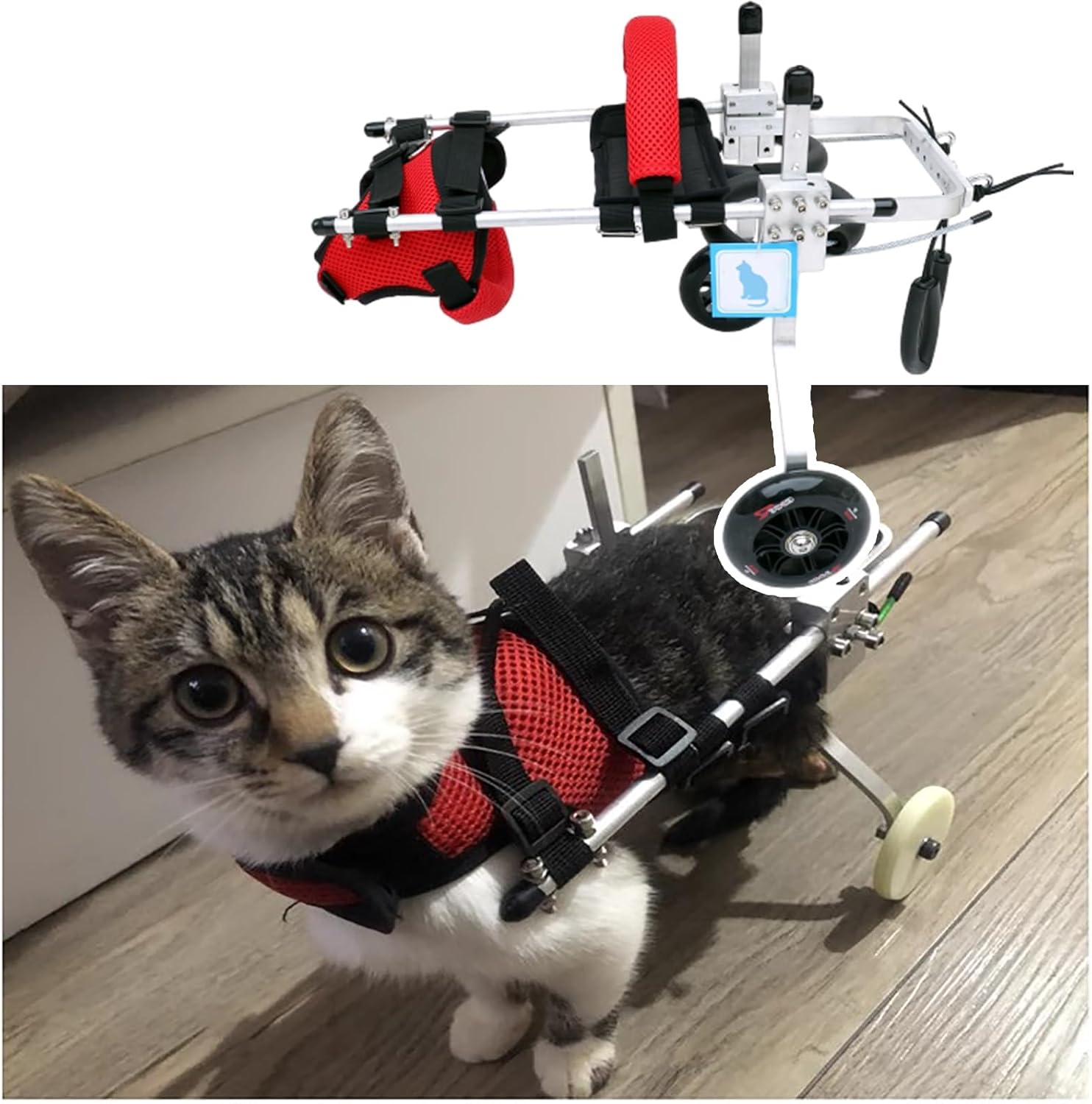 Small Cat Wheelchair for Back Legs, Adjustable Cat Exercise Wheels for Indoor Cats