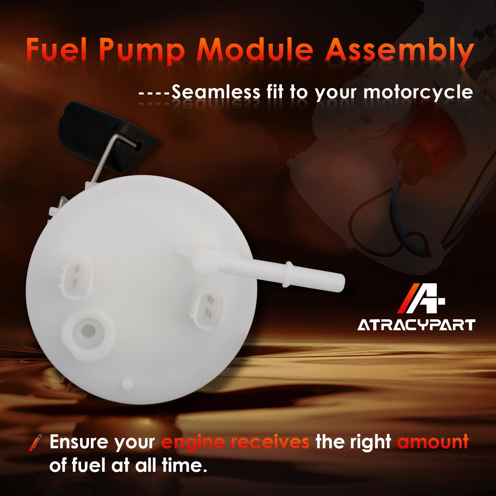 Amazon.com: Electric Fuel Pump Module Assembly Unit, Compatible