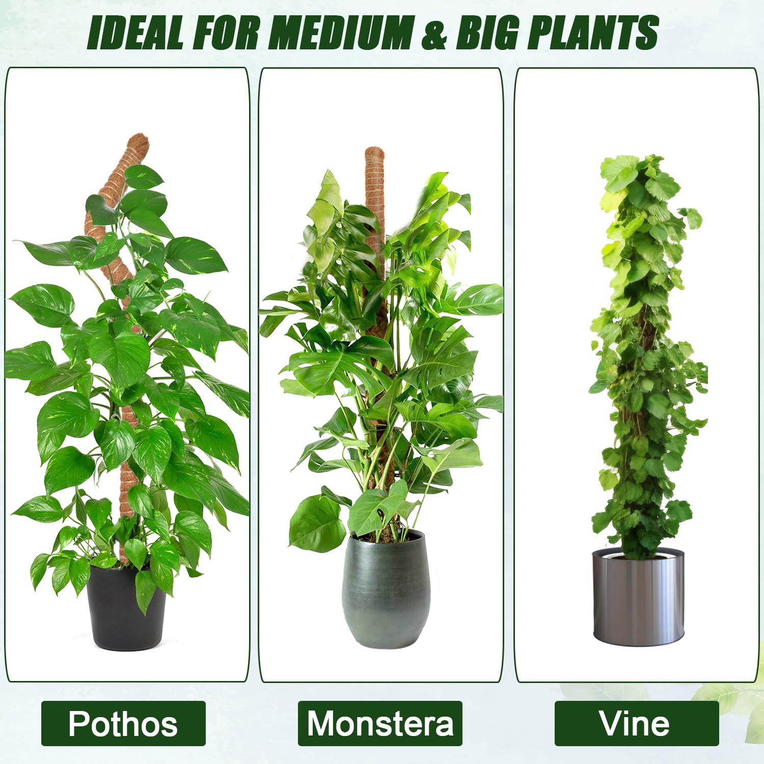 Moosstange, 119,9 cm, Moosstangen für Kletterpflanzen, Monstera, biegbare Kokosfaser-Pflanzstäbe für Topfpflanzen, Philodendron, Pothos (120 cm x 2 Stück)