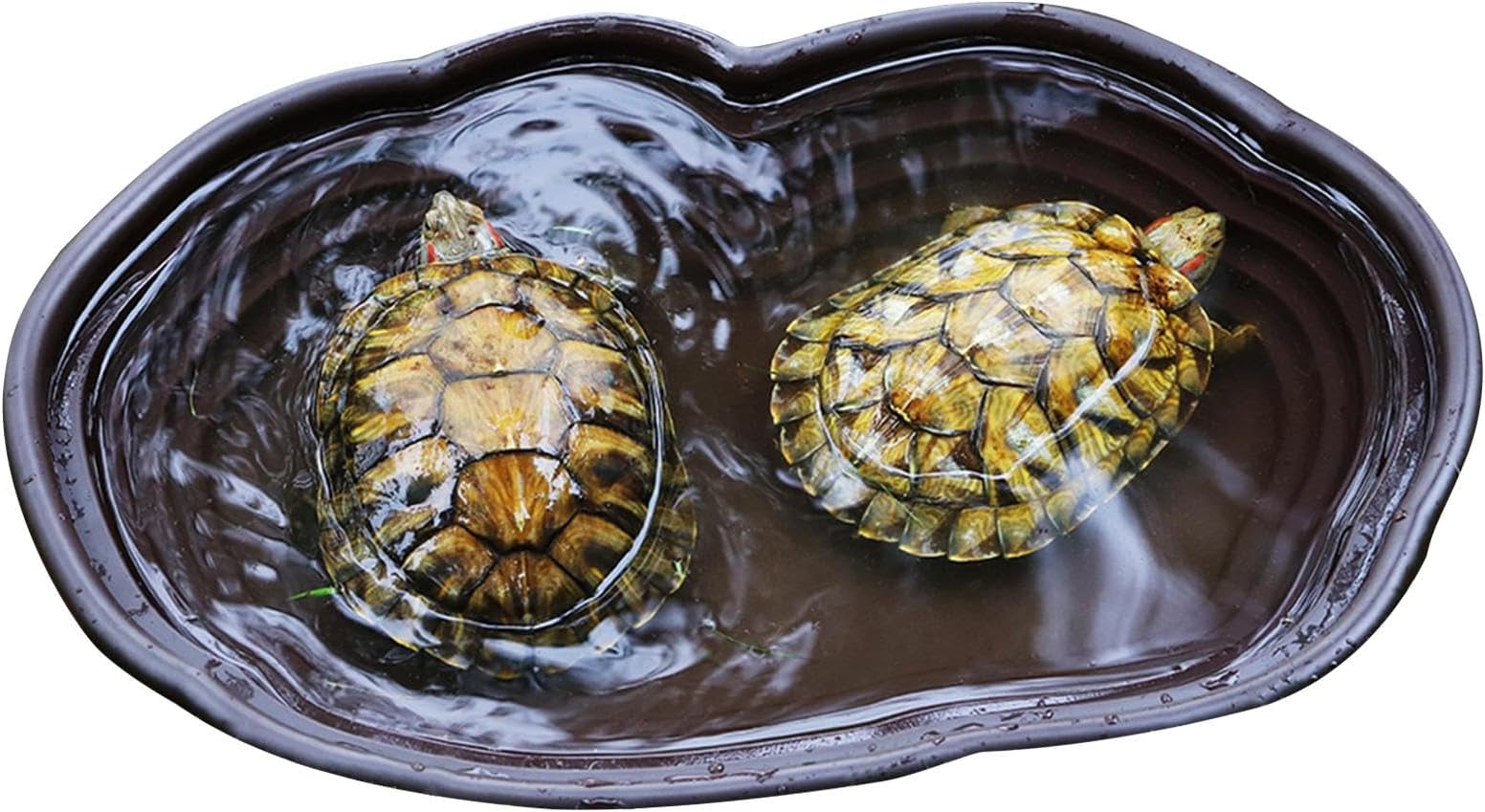 Tortoise Bathing Dish | Large Size Tortoise Water Dish | With Drainage Pipe Round Hole Design Amphibians Animals Turtle Tank Tub For Snake