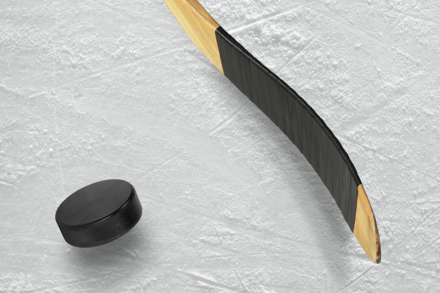 ev-goodies.de Palets de hockey sur glace - Qualité officielle IIHF - IIHF - Gufex (50)