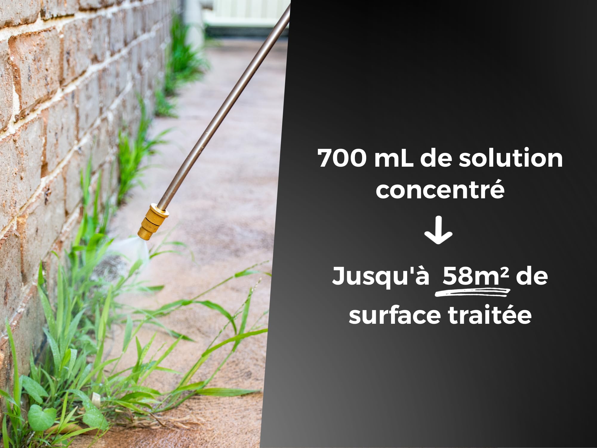 PROTECT EXPERT Désherbant Concentré - Cours Allées Terrasses - Effets Visibles Sous 3h - 700ml - Jusqu’à 58m² Traités - Bidon Doseur PROCOUR700
