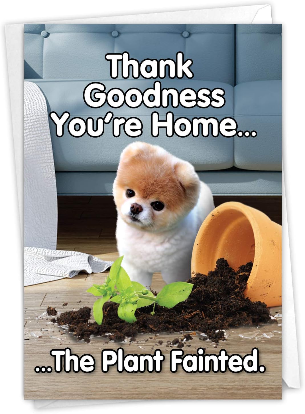 The Best Card Company - Funny Dog Birthday Card with Envelope - Cute Dog, Pet Animal Bday Notecard Stationery - Boo's Plant Fainted C6872BDG