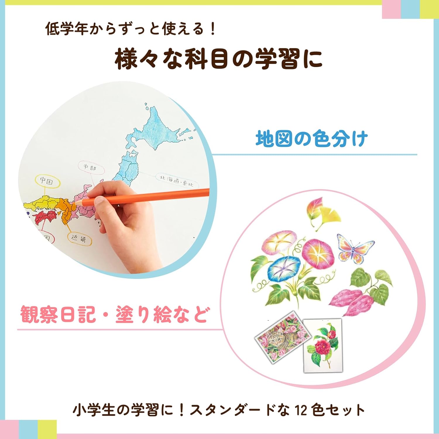 Sakura Crepas GPY12 Colored Pencils, 12 Colors, Elementary School Stationery