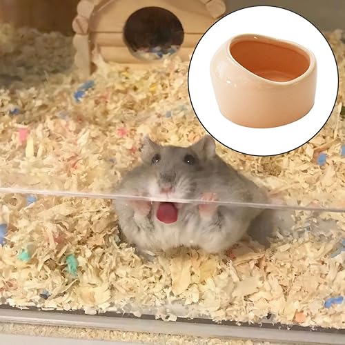 Miniatura 6 de PENCK Cuenco pequeño de cerámica para comida y agua para hámster, erizo, hurón, rata, jerbo, chinchilla, cobaya, conejo, plato de conejo,