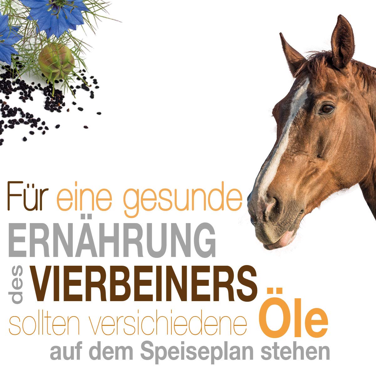 Naturzade Huile de germe de riz Aliment pour animaux de cheval Bidon de 5 l