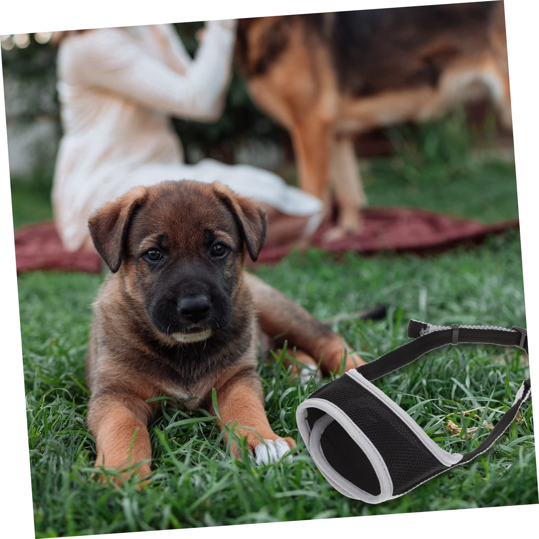Mipcase Wear-Resistant Dog Muzzle for Puppy -Biting Comfortable Mesh Ventilation Outdoor Dog Supplies