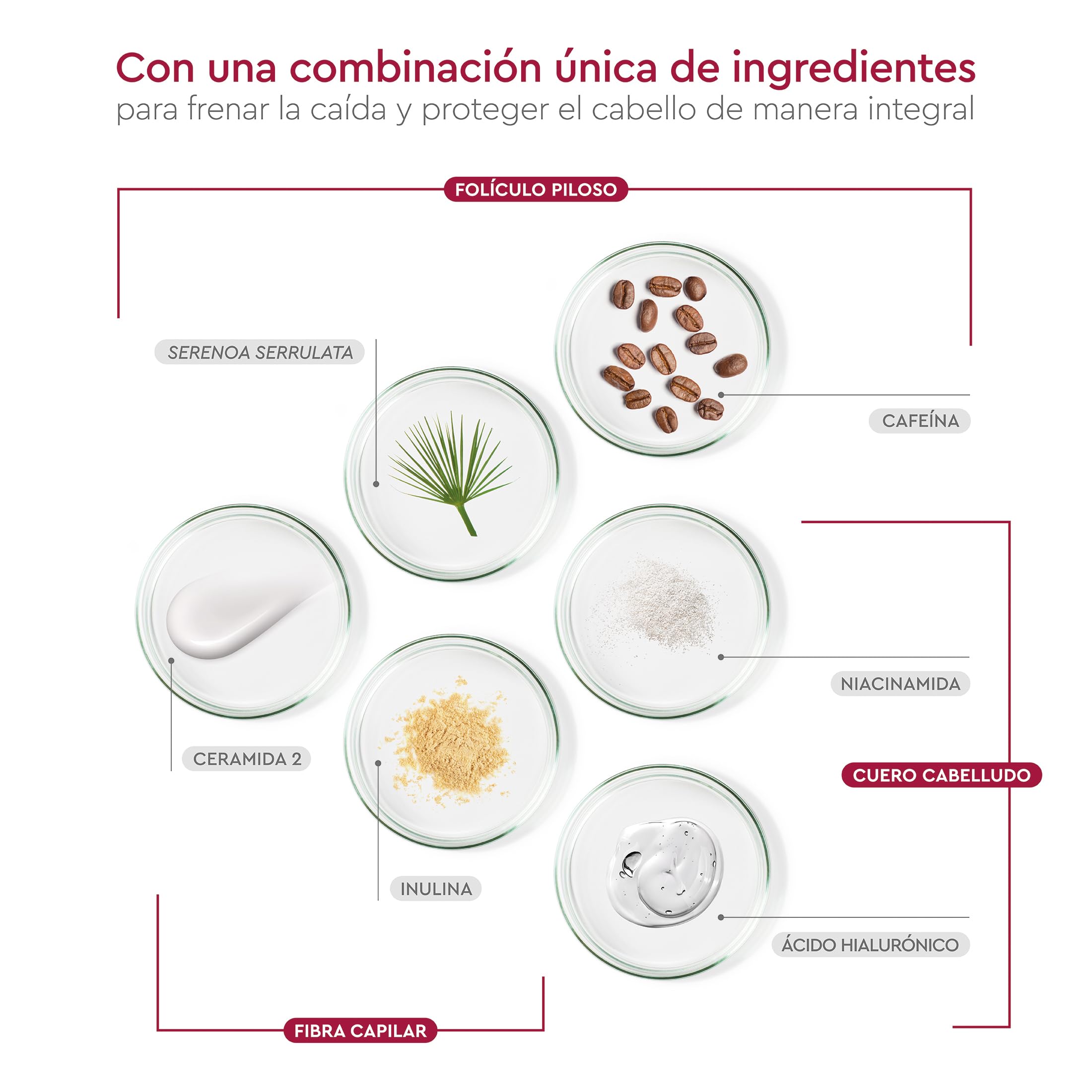 PILEXIL - Champú Anticaída Triple Protection 450 ml - Frena la Caída del Cabello, Fortalece y Suaviza la Fibra Capilar e Hidrata y Protege el Cuero Cabelludo - Para Hombres y Mujeres