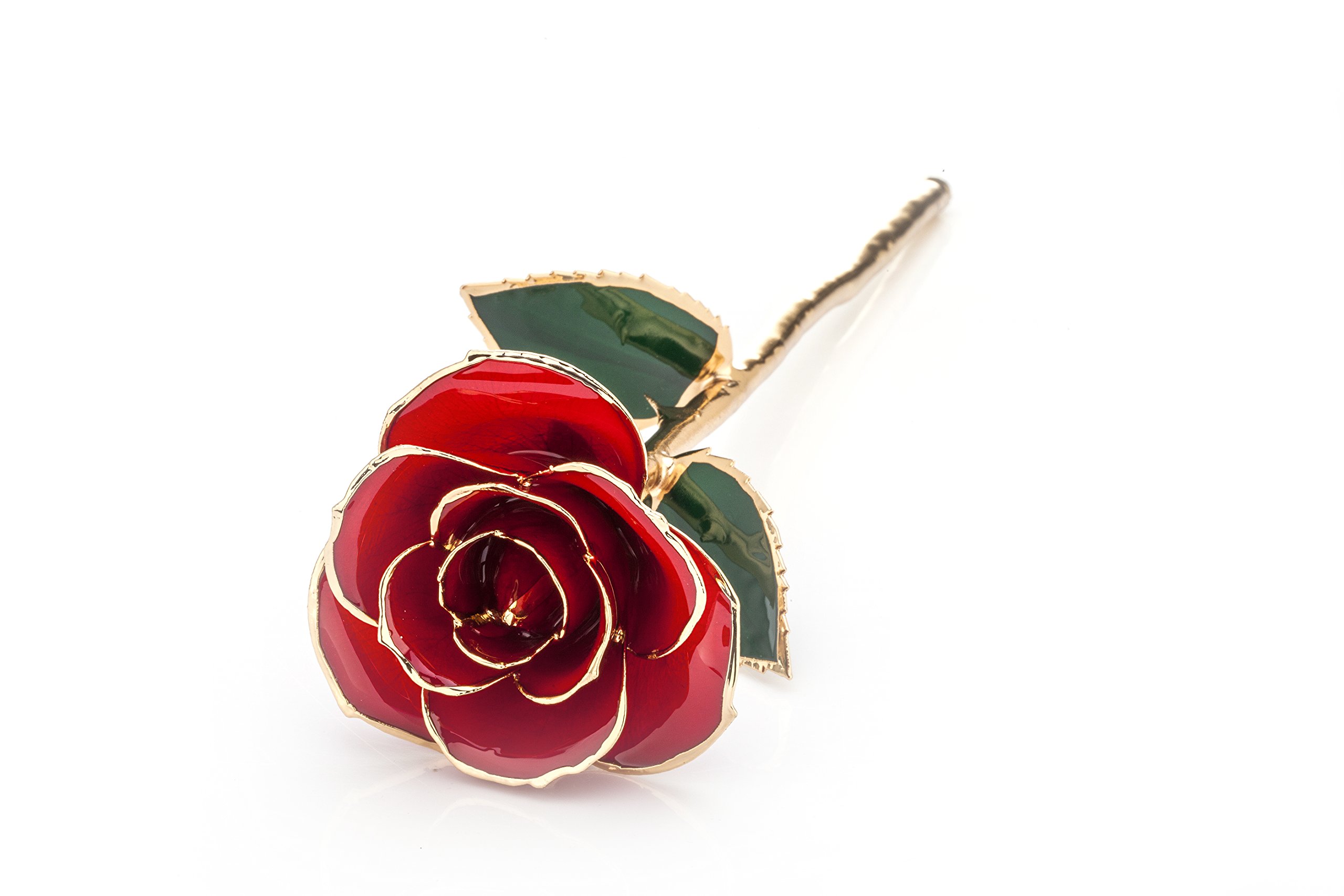 ZJchao dorados de 24 quilates Rose Rose conservadas. La Eternidad Florece