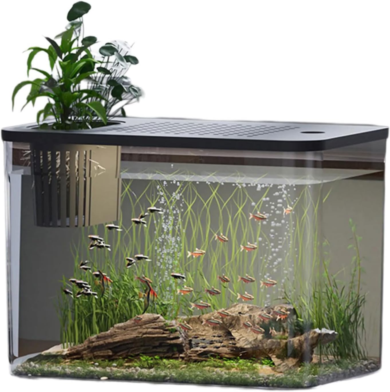 Clear Fishtanks With Safe Lid and Water Plant Holder For Gold Fish Home Desktop Decoration Aquariums Tanks