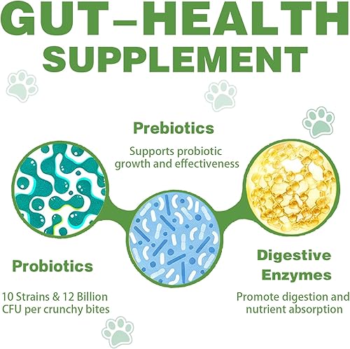 Miniatura 4 de Probióticos para perros  180 probióticos masticables para perros con 5 enzimas y 4 prebióticos para la salud digestiva e intestinal  Diarrea y apoyo
