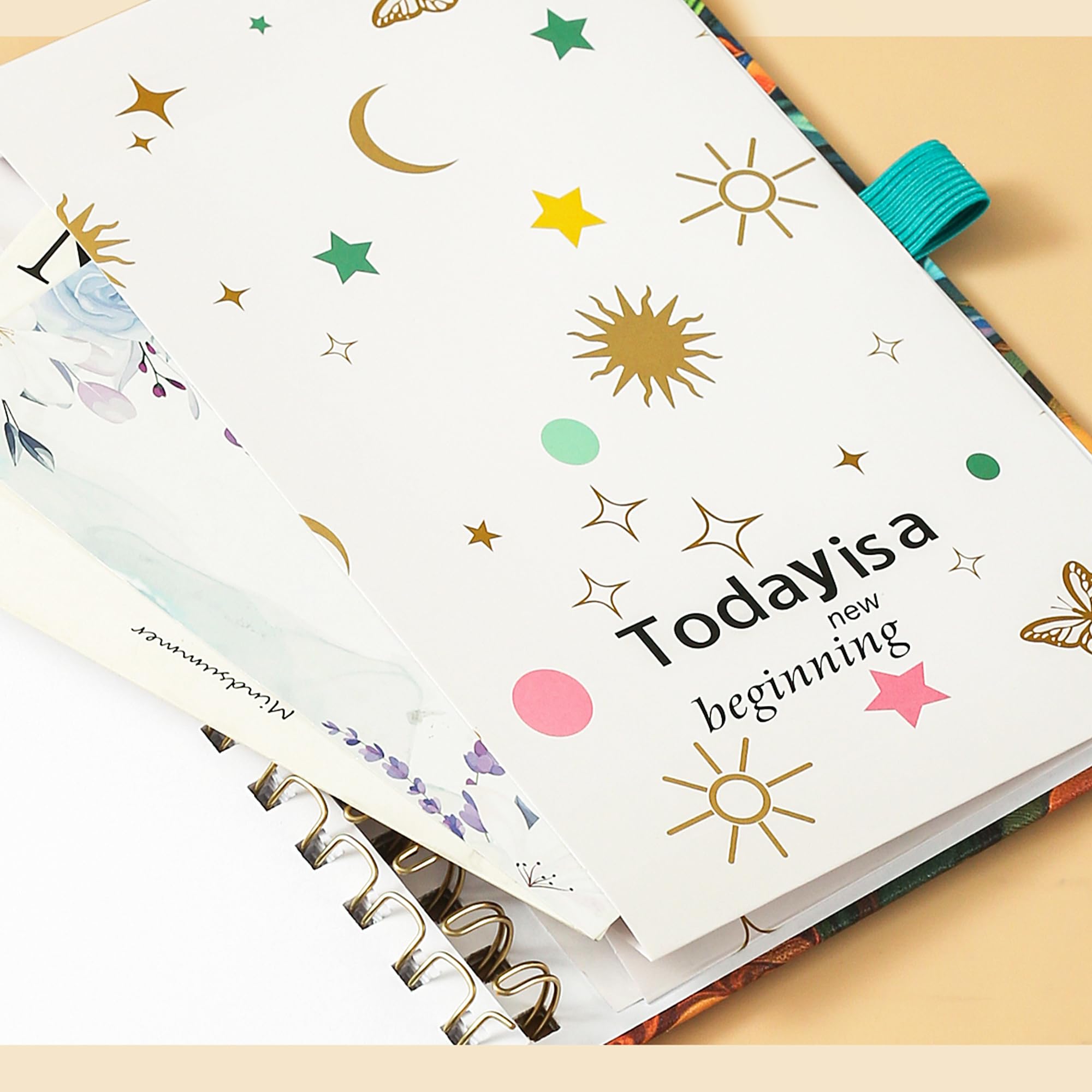 View 7