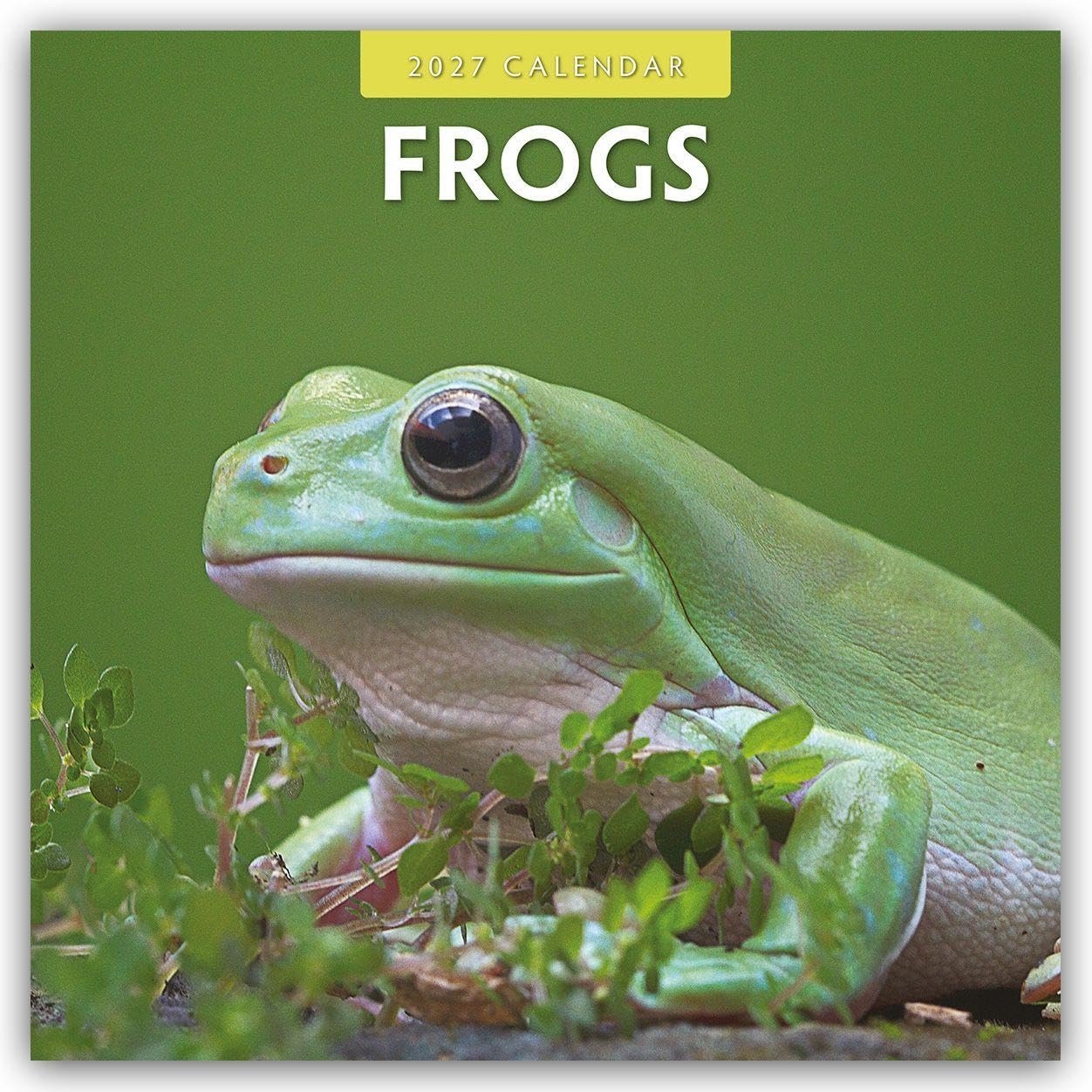 Frogs 2027 Square Wall Calendar: Original Red Robin Publishing Ltd-Kalender [Mehrsprachig] [Kalender]