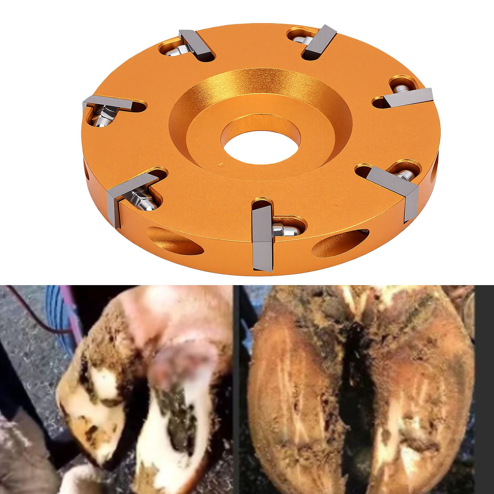 Zunate Muela Abrasiva para Cascos de Doble Cara | Disco de Corte de 7 Dientes para Amoladora Angular, Ganado, Ovejas, Caballos