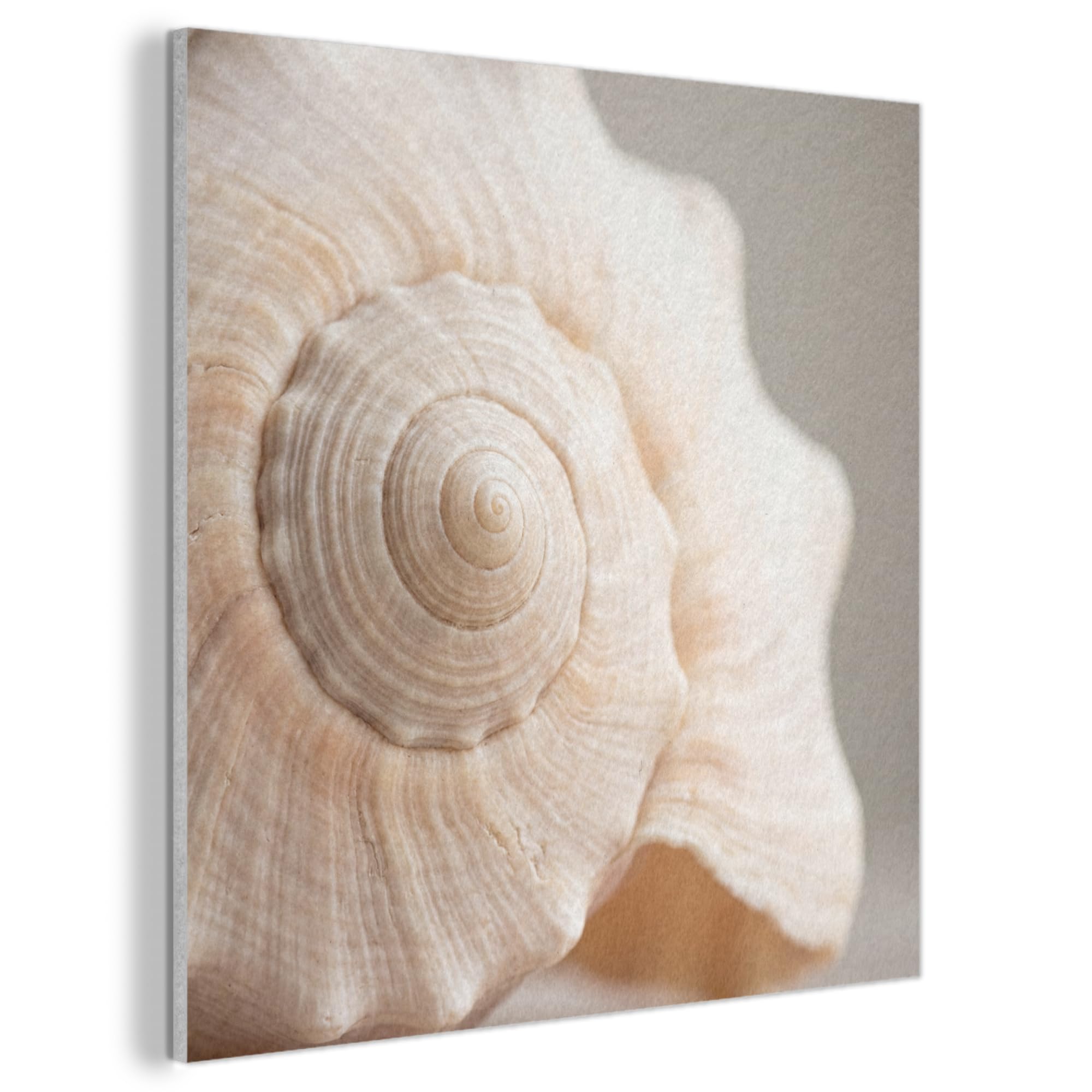 MuchoWow© Felt Panel 90x90 cm House Touch for Living Space Modern Visuals Decoration Wall Art Shell - Detail - Beige