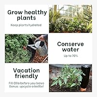 Vista 6 de Olla Mini Juego de 2 Olla de riego con tapa Sistema de riego Olla con ollas de riego de arcilla Terra Cotta Ollas de riego automático durante