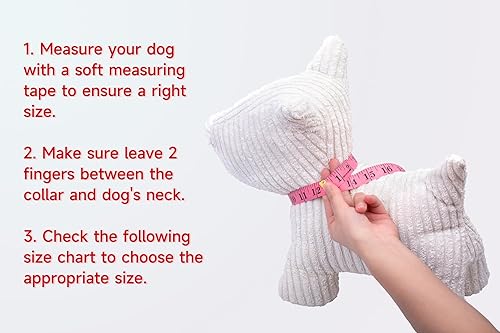 Miniatura 5 de Collar de perro personalizado con nombre de mascota, número de teléfono, dirección grabada en hebilla de metal, cuadros estilo frutal, varios