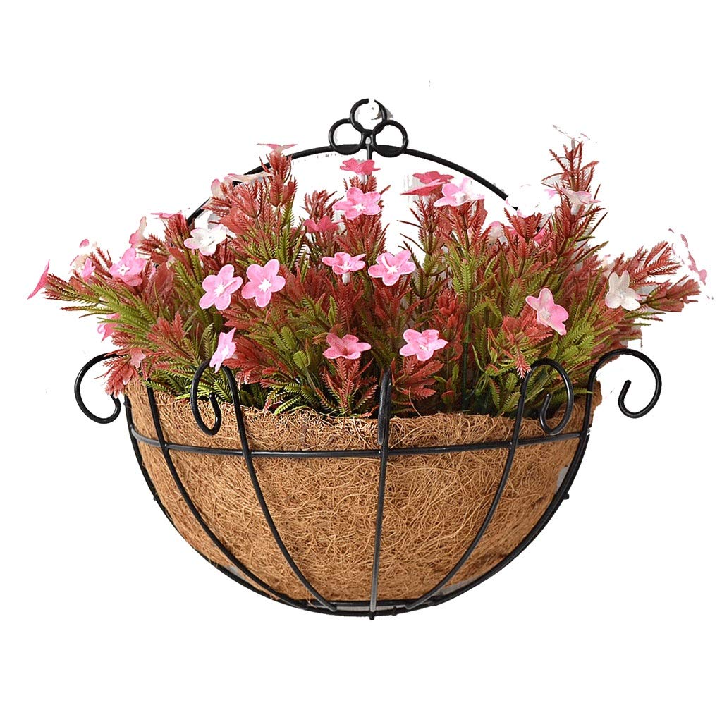 Plante aventure pot de fleurs pour végétaliser un petit balcon