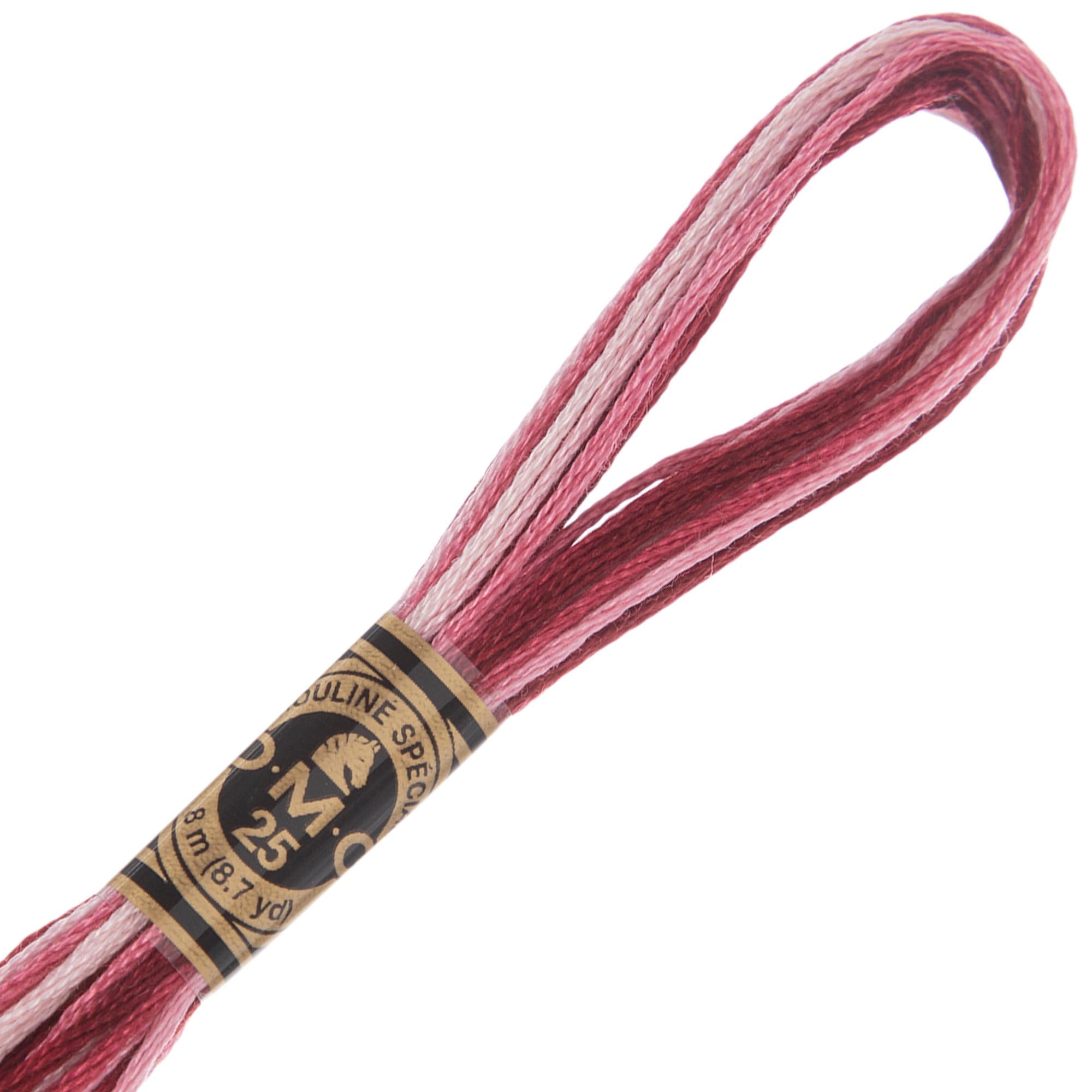 Hobby Lobby DMC Cotton Embroidery Floss - 99 Variegated Mauve, Set of 12
