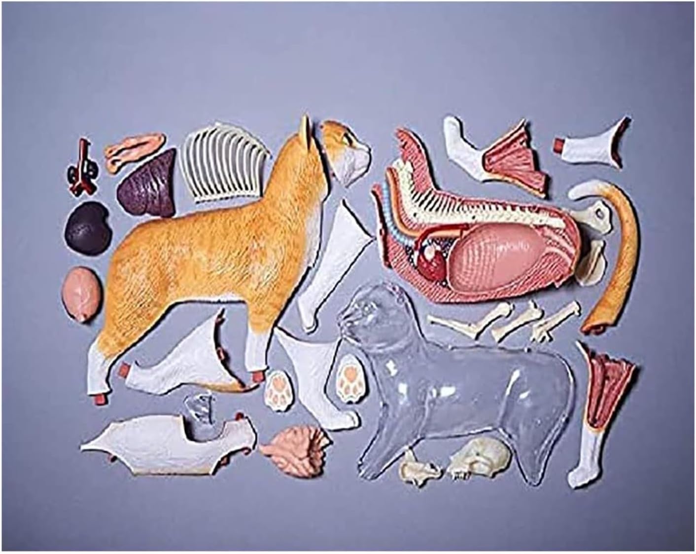 メディカル60 本体＋天井ルーフ カワイ フェレット サークル 小動物 犬