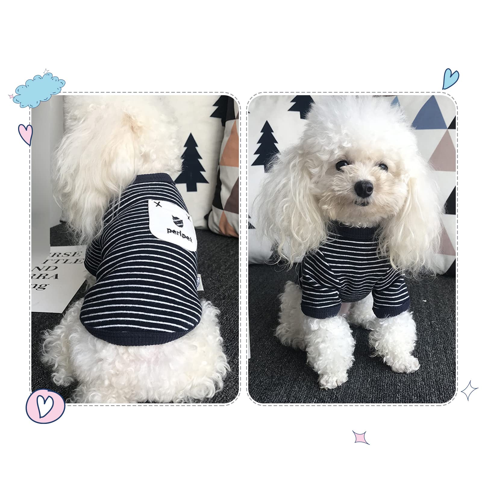 犬服・猫服8点セット 楽天市場】犬服 トラ ペット服 虎に変身 ハロウイン衣装 干支