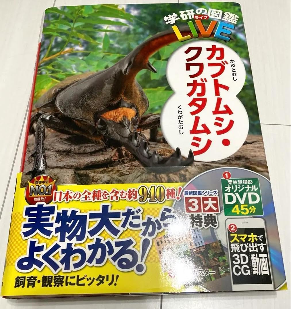 サンプル ブラジル オビドス メネラウスモルフォ ペア 蝶標本 貴重 &lt