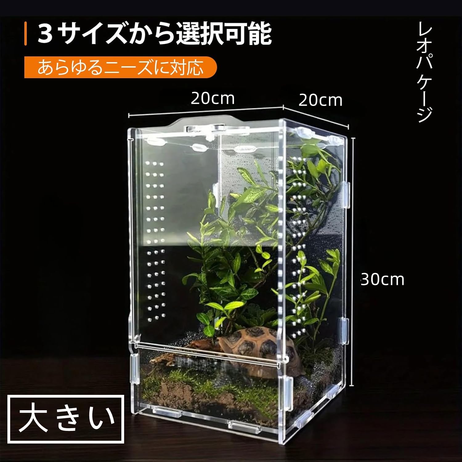 Amazon | Ahgwiu 爬虫類 シェルター レプタイル ボックス ヒョウモン