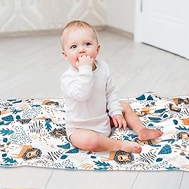 Baby Blankets for Boys, Soft Mink Blankets with Double Layer Dotted Backing, Lion Newborn Nursery Bed Blanket, 30 X 40 Inch