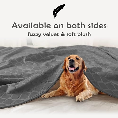 Miniatura 4 de fuguitex Manta impermeable para perro, funda de cama para perro, terciopelo cristalino, manta marroquí de felpa acogedora para mascotas, para sofá