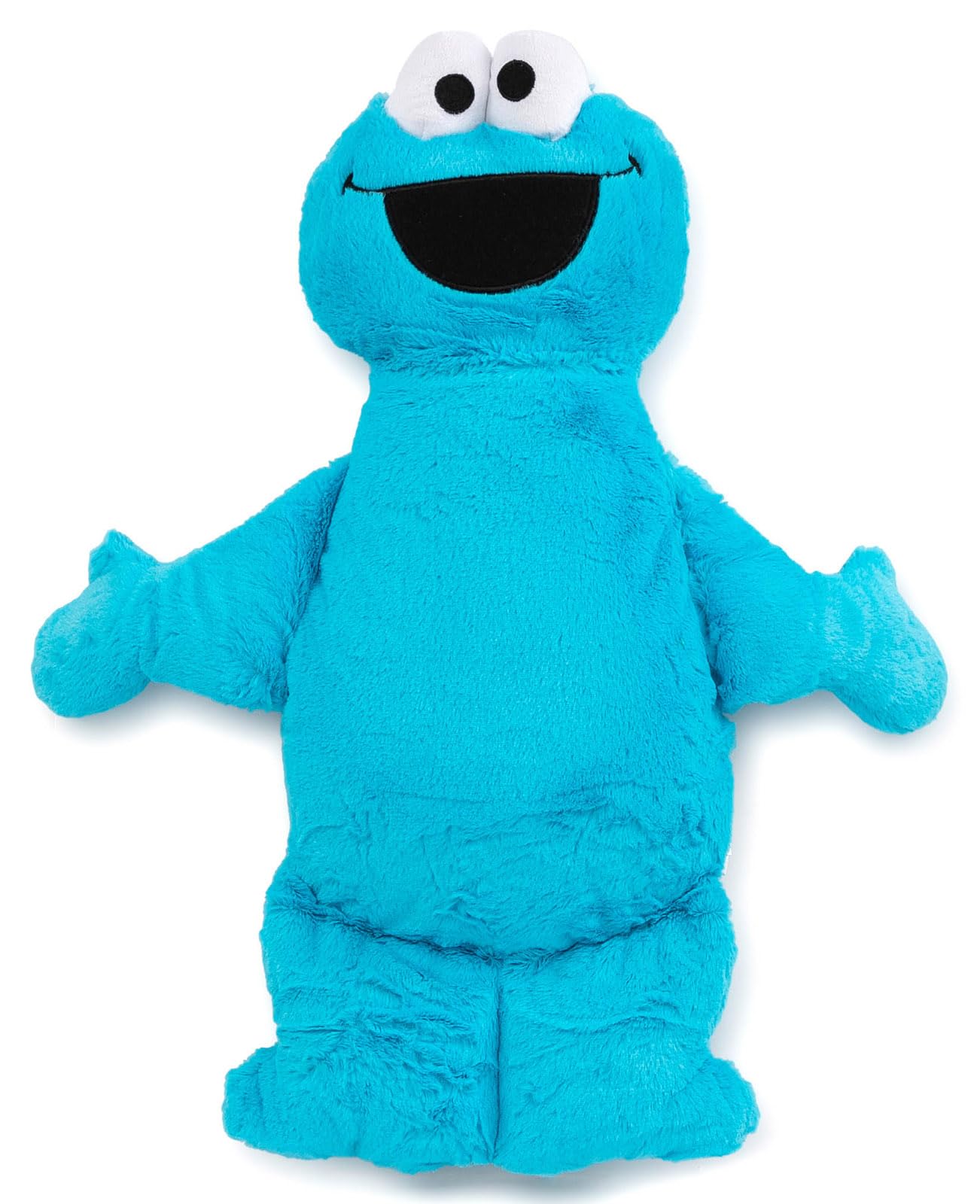 Amazon.com: Jay Franco Sesame Street Plush Stuffed Cookie Monster