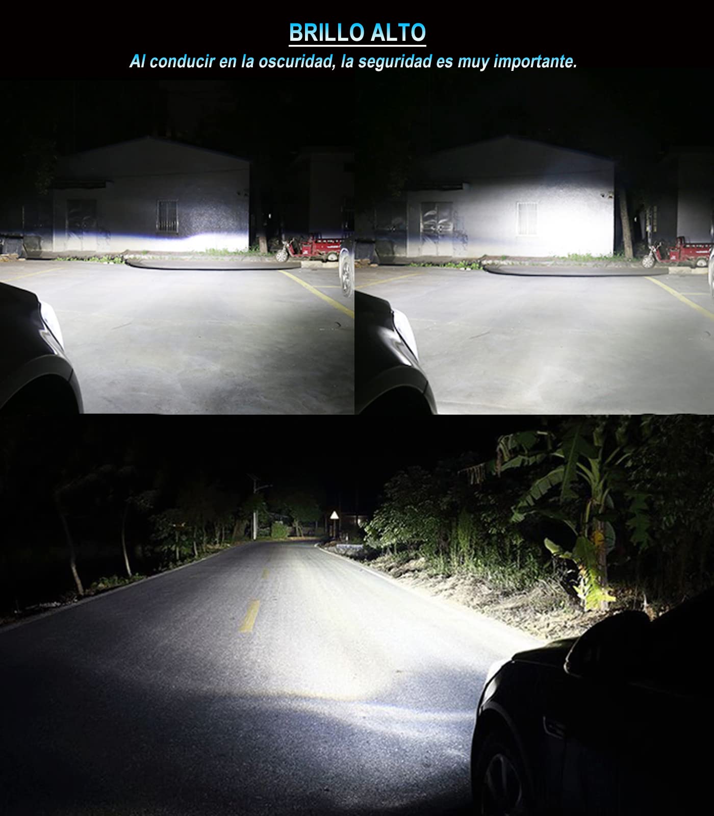 XELORD D1S 8000K Xenón Bombilla 35W Brillo Alto HID Auto Lámpara Faro Delantero,Paquete de 2