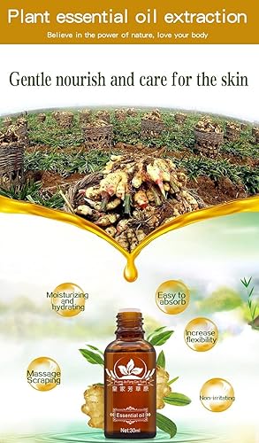 Miniatura 4 de Paquete de 3 aceite de jengibre de drenaje linfático, promueve el metabolismo de la circulación sanguínea, aceite de masaje SPA.