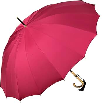 Amazon | 傘 レディース 長傘 前原光榮商店 カーボン 16本骨 高級 雨傘