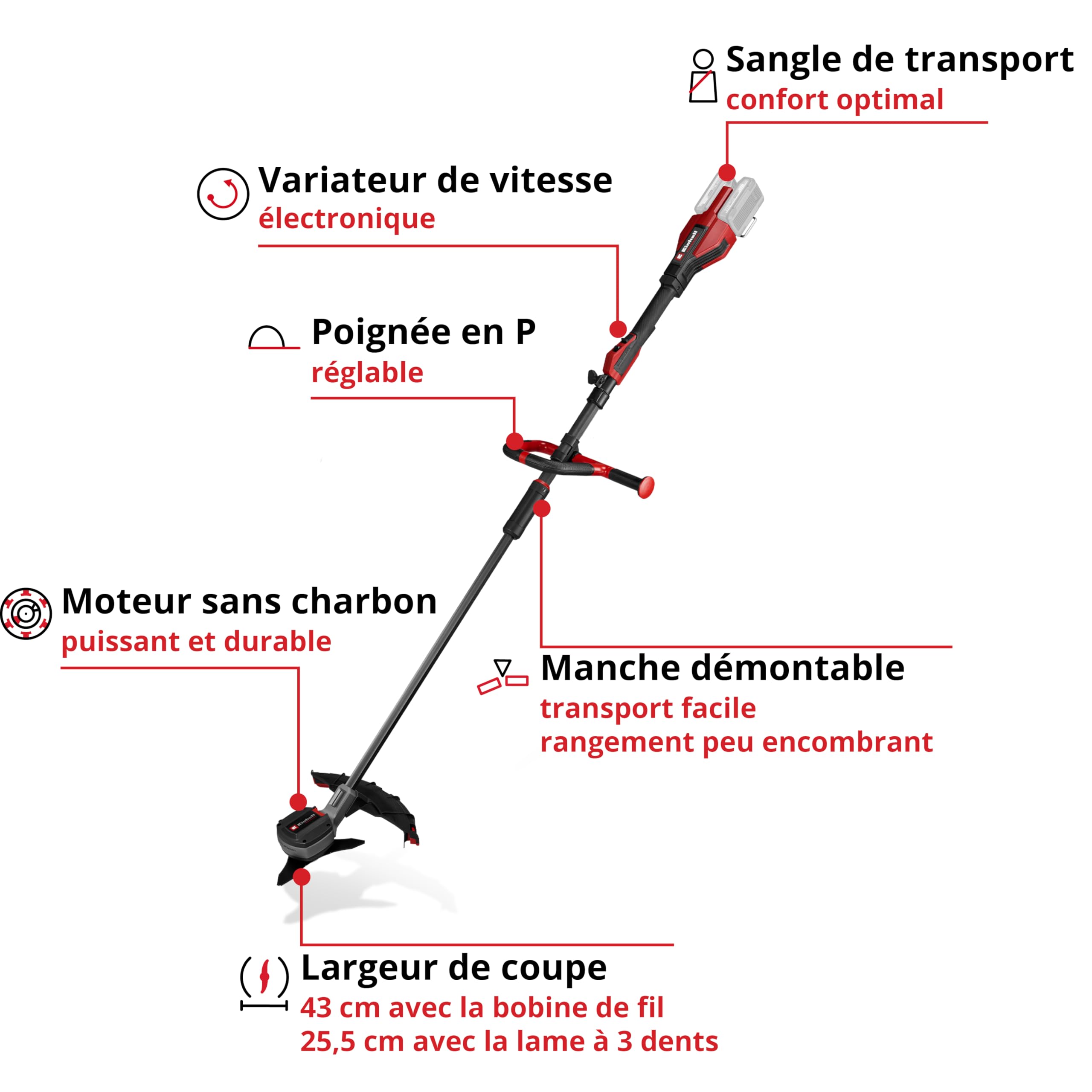 Einhell Professional Débroussailleuse sans fil GP-BC 36/430 Li BL-Solo Power X-Change (36V, moteur sans charbon, largeur coupe 43cm, bobine double fil, lame 3 dents) + Twincharger et 2 Batteries 4,0Ah