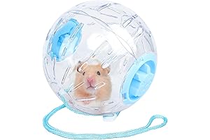 7.9 Inch Hamster Ball Track, Blue
