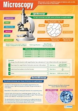 Daydream Education Microscopy Science Classroom Poster - EXTRA LARGE 33" x 23.5" - Laminated - STEM Middle & High School Class Decoration - Wall Charts