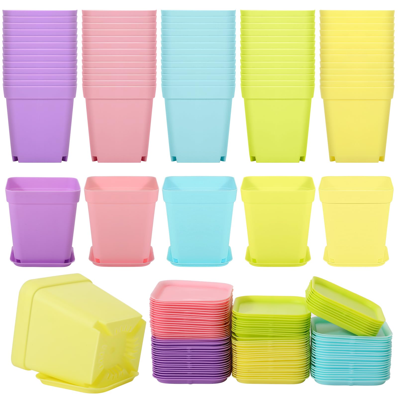 Amazon.com: Tioncy 100 Pcs 3 Inch Mini Plant Pots with Tray