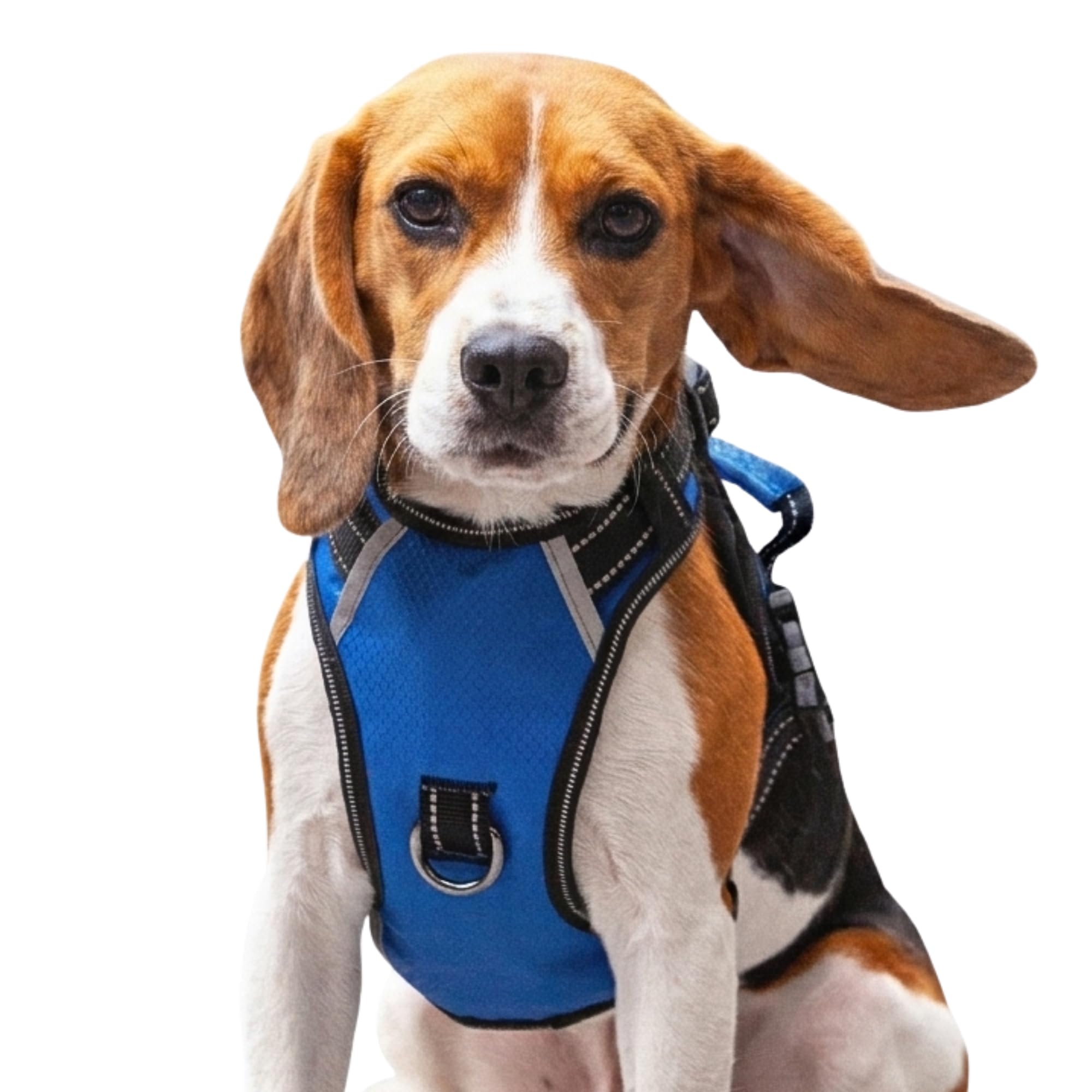 Puwihoe Large Dog No Pull Harness with 2 Quick Release Buckles & Easy Control Handle, Reflective No-Choke Soft Vest with Front & Back Clips for Walking and Training, Blue, L โ image 1