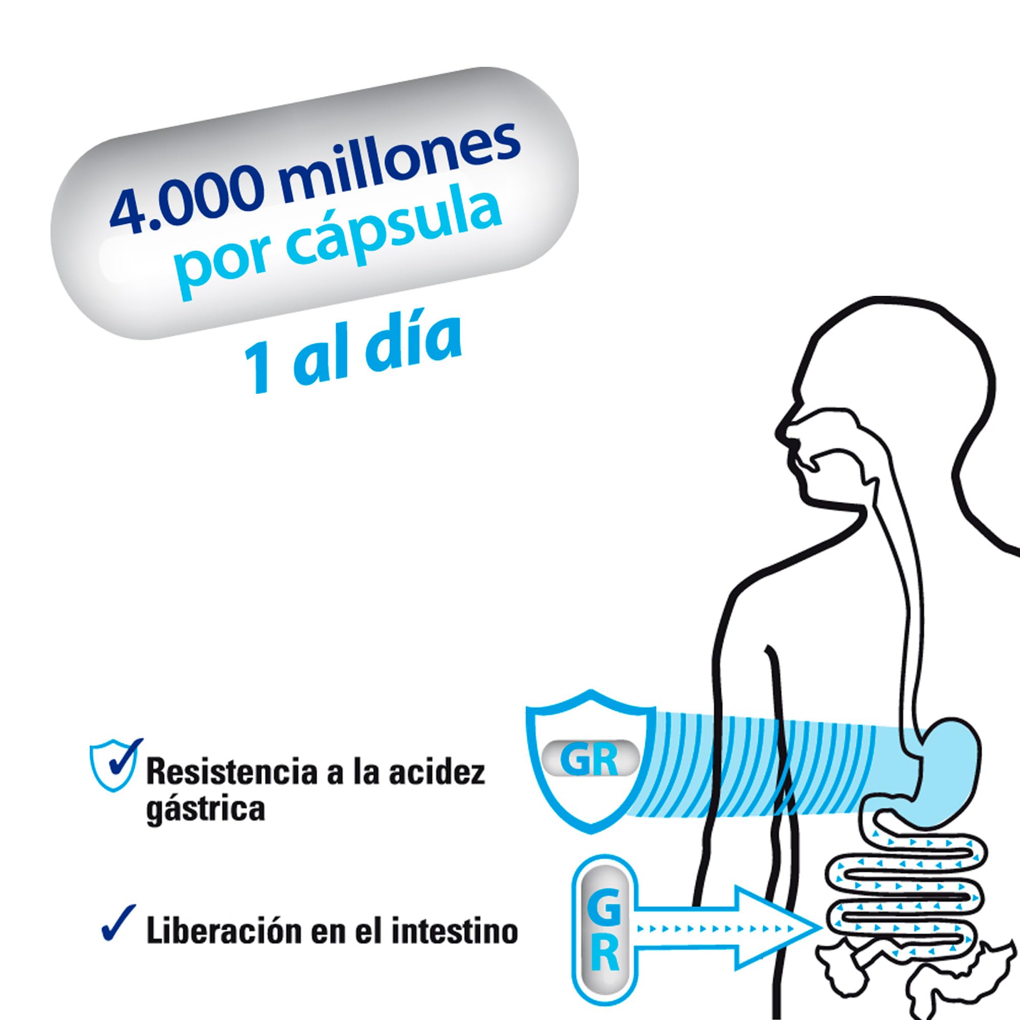 SAKAI PROBIOTIC GR complex 30cap. – complément alimentaire sous forme de comprimés, se prend chaque jour conformément aux indications, boîte de 30 gélules et associe fonctionnalité pratique et sensati