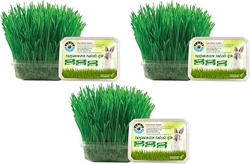 Organik Tav an  imi 3l  Koruma Fileli