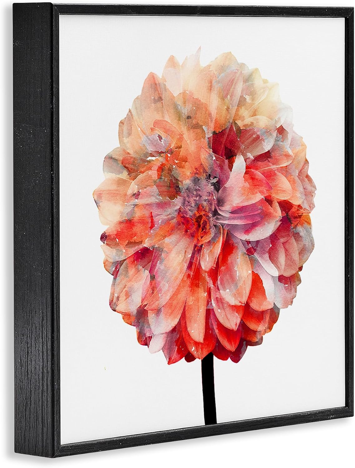Stupell Industries Bright Coral Watercolor Bloom Dahlia Flower Framed Texturized Art, 12 x 12, Multi-Color