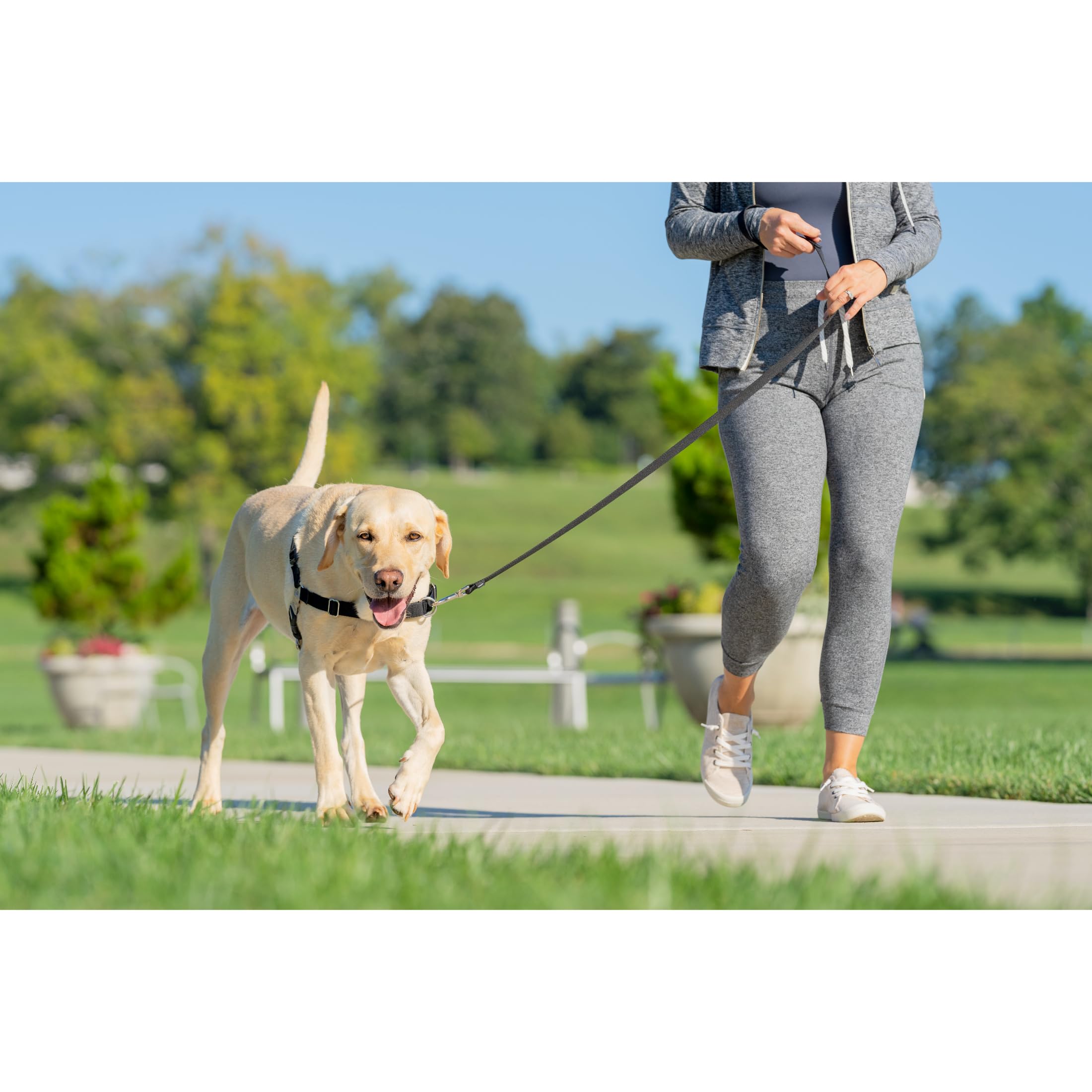 PetSafe Easy Walk - Pettorina per Cani Anti-Tiro, Nero, XL