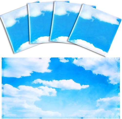 Hortsun Paquete de 4 cubiertas de luz fluorescente de 4 x 2 pies, cubierta de luz magnética para techo suspendido, filtros de luz para techo