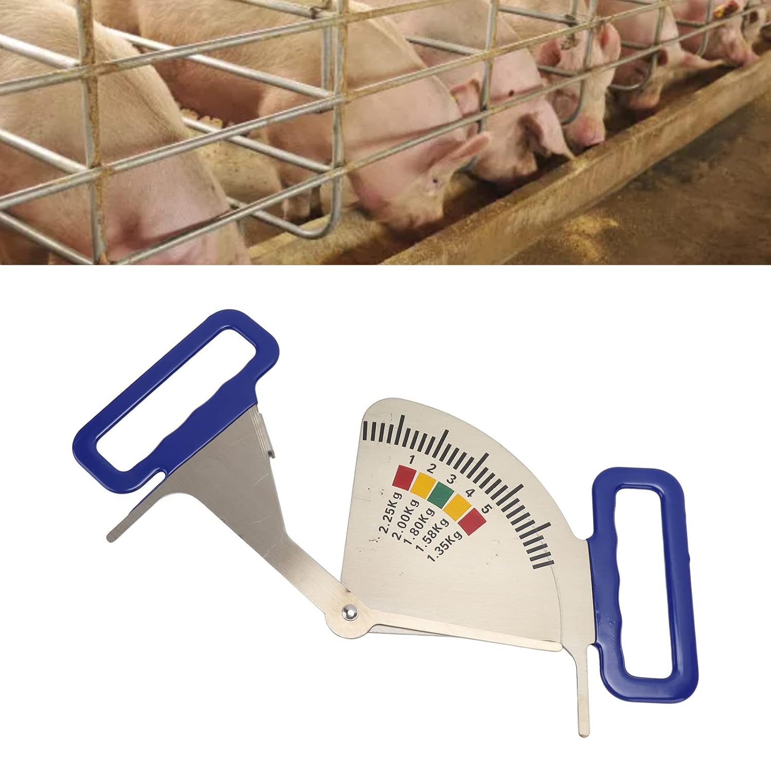 Sow Backfat Caliper, Stainless Steel Lightweight Easy Pig Farming Ruler Pointer Type Rustproof with Plastic Handles for Household Use