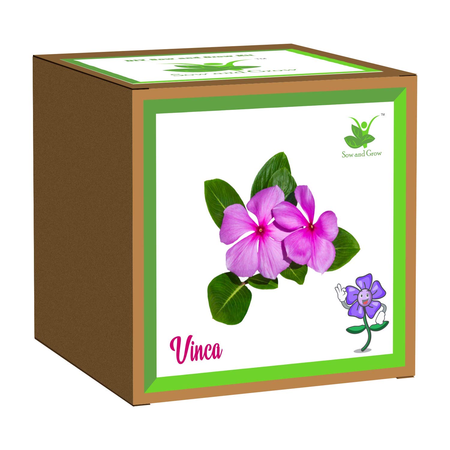 Sow and Grow Seed Starter Flower Grow Kit of Vinca/Periwinkle || DIY Easy Grow it Yourself Gardening Kit for Home and Garden || A Complete Beginner Gardeners Gardening Set-image-49
