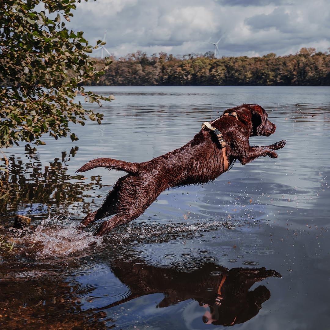 Outdoor Hundegeschirr Handmade, 5-Fach verstellbar & wasserfest, kleine bis sehr große Hunde, Führgeschirr Brustgeschirr Führungsgeschirr Hund Training (Mocca/Mousse, M)
